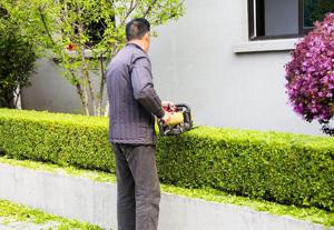 室外綠化養(yǎng)護15